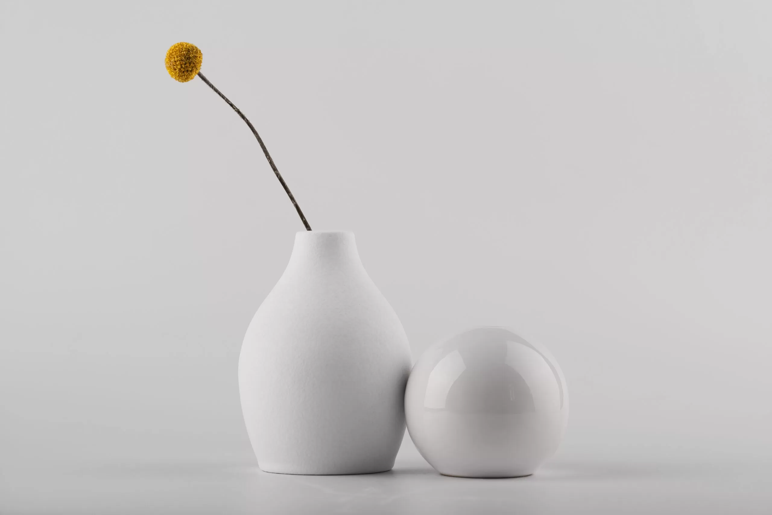 Beleza e durabilidade: por que escolher a porcelana?