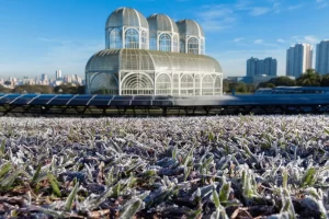 Estufa do Jardim Botânico de Curitiba em manhã de inverno